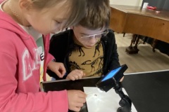 Uczniowie oglądają różne preparaty pod mikroskopem