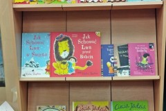 Nowe książki w bibliotece szkolnej ułożone na regale w bibliotece szkolnej-4