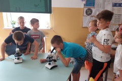 Obserwacje mikroskopowe