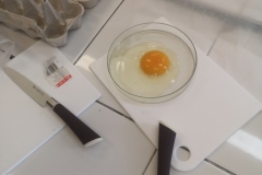 Jajko na szalce Petriego