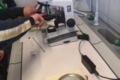 Obserwacja preparatu mikroskopowego