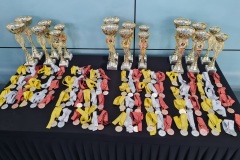 Puchary oraz medale przeznaczone dla uczestników zawodów